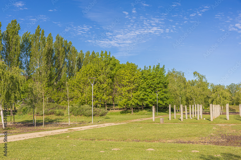 Pappelbaum - Park