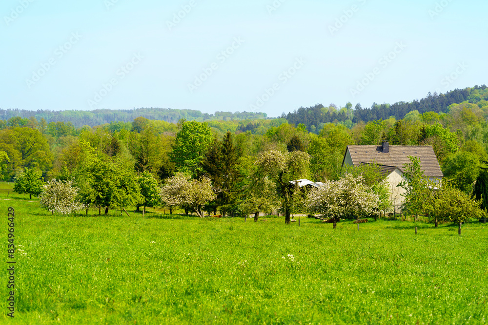 Spring rural landscape with blooming trees and green meadows, Czech Republic Spring rural landscape with blooming trees and green meadows, Czech Republic