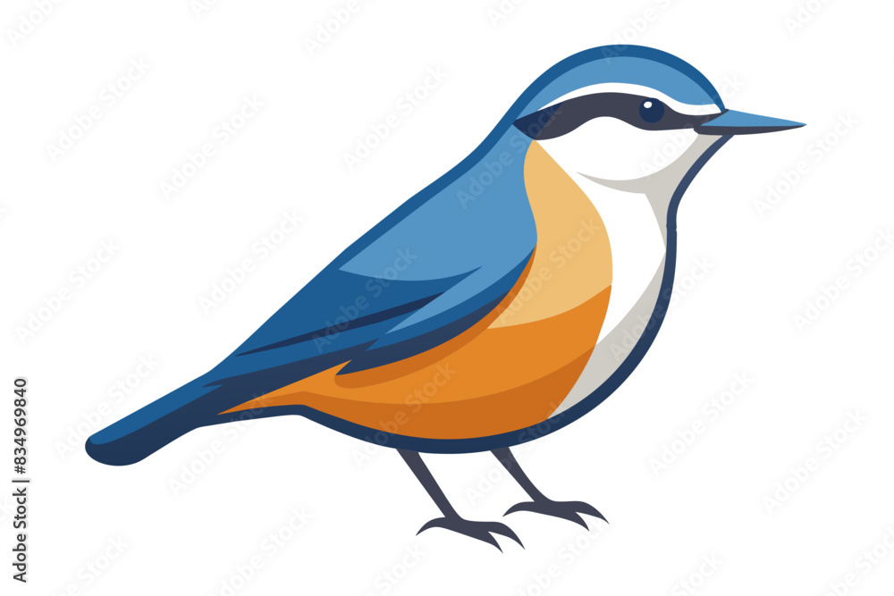 Obraz premium A nuthatch bird vector artwork illustration 