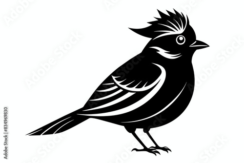 A kinglet bird silhouette black vector artwork illustration 