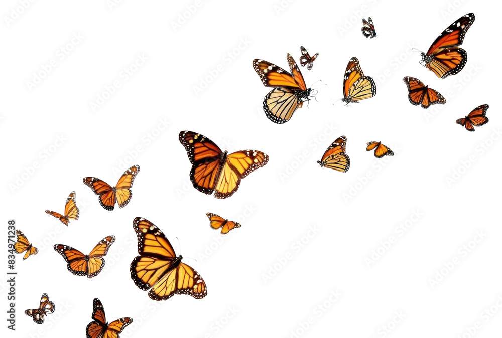 Fototapeta PNG Butterflys flying animal insect white background.