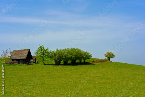 Lonely house on a green meadow with trees and blue sky © PeterPike