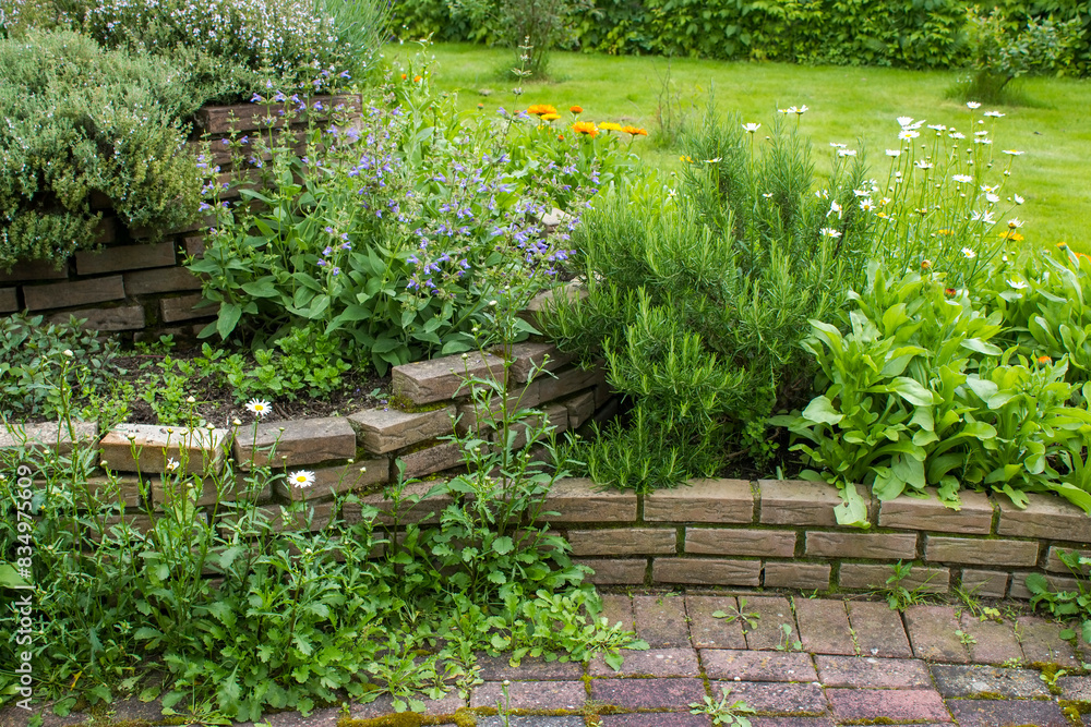 herb spiral in the garden with fresh herbs