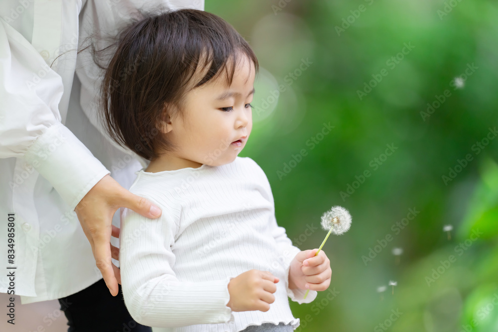 子供・女の子・たんぽぽ