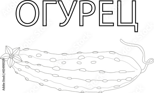 Coloring for children cucumber and the word cucumber on Russian. We rake the vegetable cucumber and the word cucumber on Russian. Paint cucumber and the word cucumber. Coloring for children teach vege