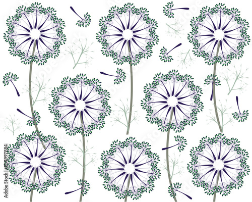 Dill florets on a white background. Vector plant pattern for wallpaper, fabric, packaging design