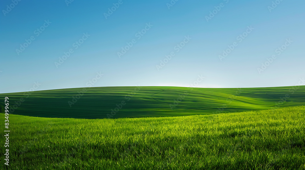 Classic Bliss-inspired Background - Clean and simple landscape with field Classic Bliss-inspired Background - Clean and simple landscape with field
