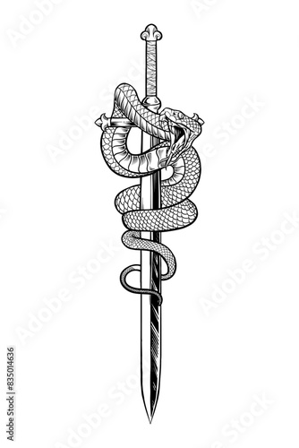 illustration of a snake on a sword