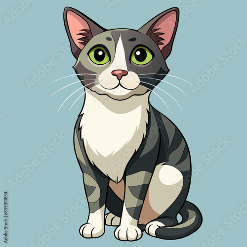 adult cat, isolated background.