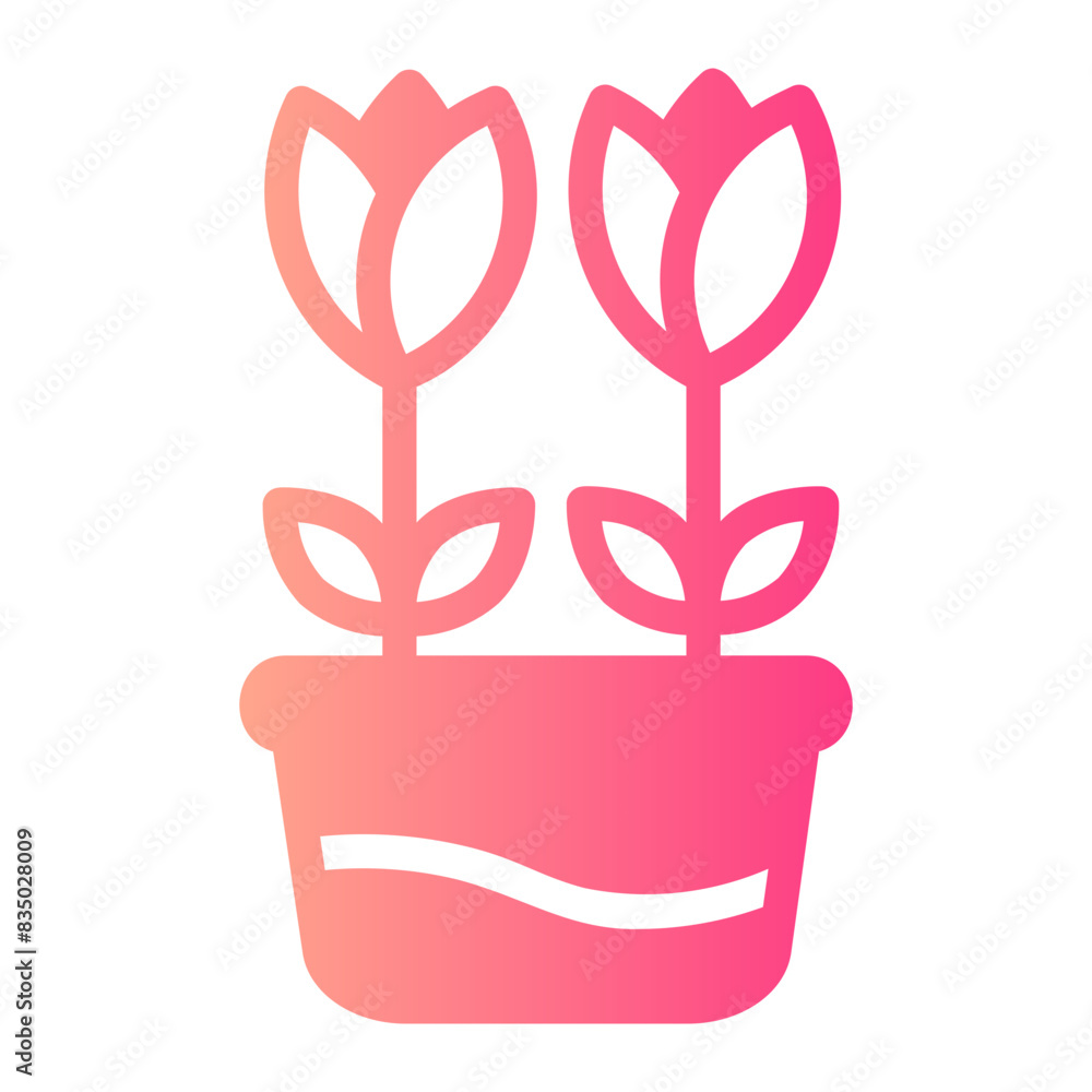 tulip tulip