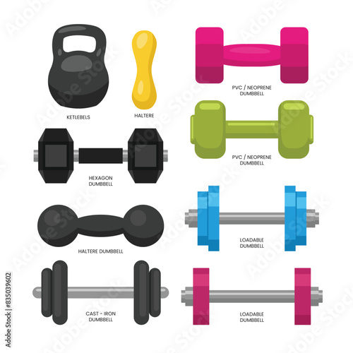 Set of different types of dumbell, weightlifting barbells, Workouts or diet for Beginners Healthy Body Training with kettlebell, haltere, hex, cast iron, healthcare gym poster education.