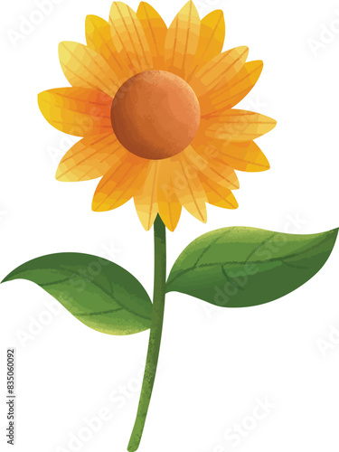 sunflower blossom summer illustration