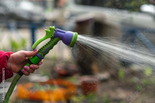 Hand garden hose with water sprayer in female hand, watering flowers, close-up, water splashes. Daily watering of plants.