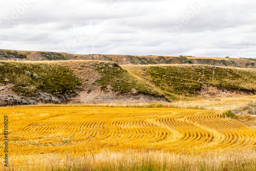 Badlands and fall colours around the town. Drumheller, Alberta, Canada