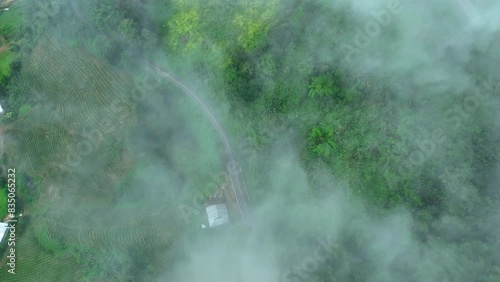 top down view from drone path and cloud flow in the rain season north of chiang rai thailand. 4k video