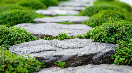 Detail of a botanical garden isolated on white background. Garden stone path with grass growing up between the stones. 