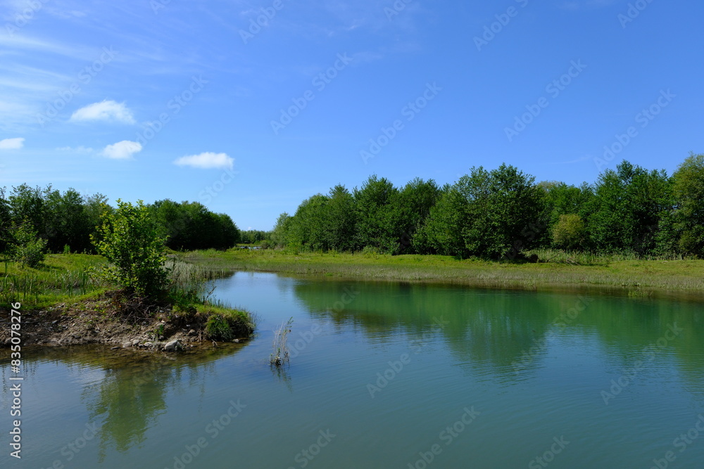 river in the forest