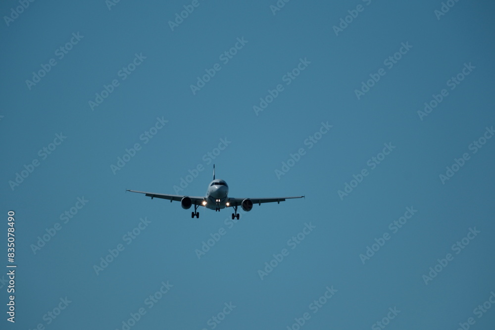 Fototapeta premium Airplane landing at the airport on a sunny day