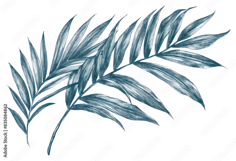 Obraz premium PNG Antique of palm leaves drawing sketch pattern.