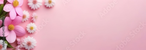 Banner summer flowers with free space in light colors