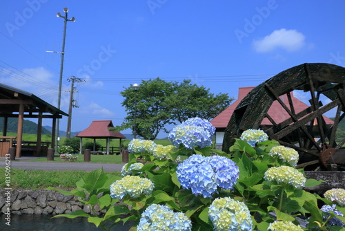 安並水車の里　あじさい咲く季節　（高知県　四万十市） photo