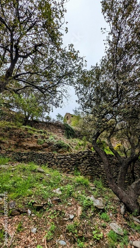 PRIEURE DE SERRABONA - BOULE-D'AMONT (Pyrénées-Orientales) photo