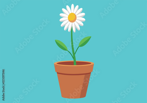 A white flower in a pot on a blue background