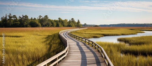 Scenic boardwalk trail wind...