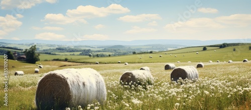 Meadow with haystacks and w...