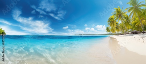 Fototapeta Naklejka Na Ścianę i Meble -  A stunning beach with golden sand, crystal-clear waters, and palm trees, ideal for relaxing vacations - perfect for brochures with copy space image.
