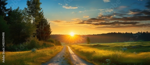 Fototapeta Naklejka Na Ścianę i Meble -  Sunrise on a dirt road on an early summer morning with a copy space image.