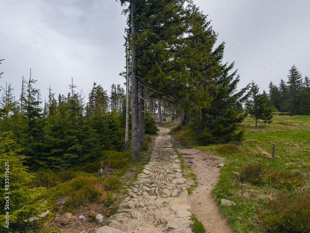 Wandern im Nationalpark Riesengebirge, Tschechei Wandern im Nationalpark Riesengebirge, Tschechei