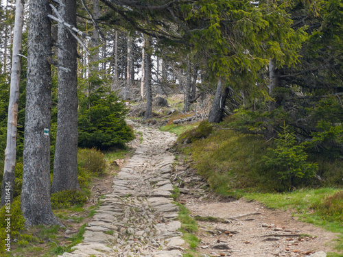 Wandern im Nationalpark Riesengebirge, Tschechei photo