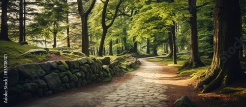 Walkway winding through a p...