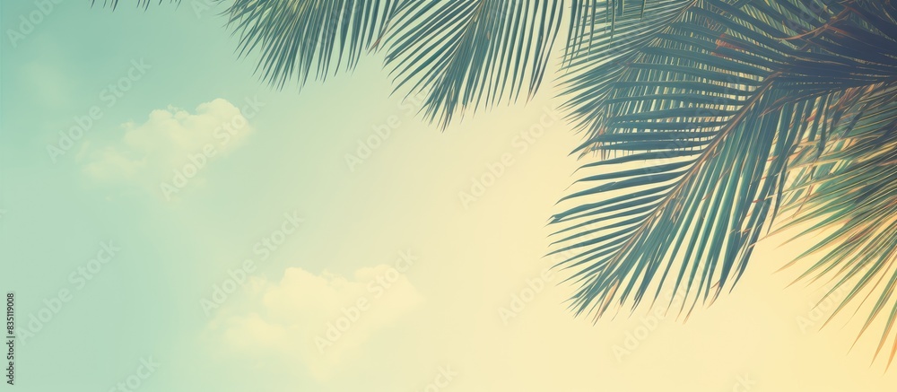 Vintage-themed coconut leaf background with retro color style, suitable for use as a copy space image.