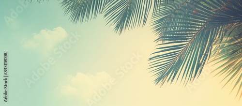 Vintage-themed coconut leaf background with retro color style, suitable for use as a copy space image.