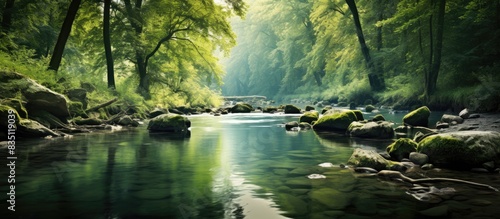 Tranquil river flows leisur...