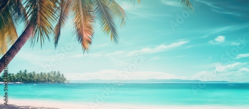 Blurred Palm trees and a tropical beach create a summery vacation vibe in the background of this image  ideal for copy space integration.