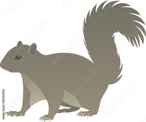 Color vector illustration of standing squirrel side view. Wild small rodent animal isolated on white background. Wildlife of the world.