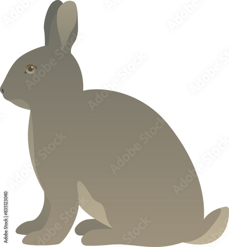 Color vector illustration of sitting rabbit or bunny side view. Wild small mammal animal isolated on white background. Wildlife of the world. © Anastasiia Neibauer