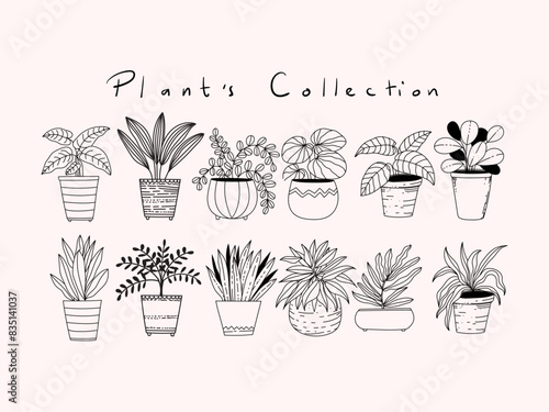 Plants, flowers on pots, vases hand drawing outline hand drawn vector poster wall art illustration set.