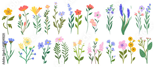 A set of beautiful flower graphics for web & design needs! Perfect for beauty, fashion, nature, spa, events & more.
