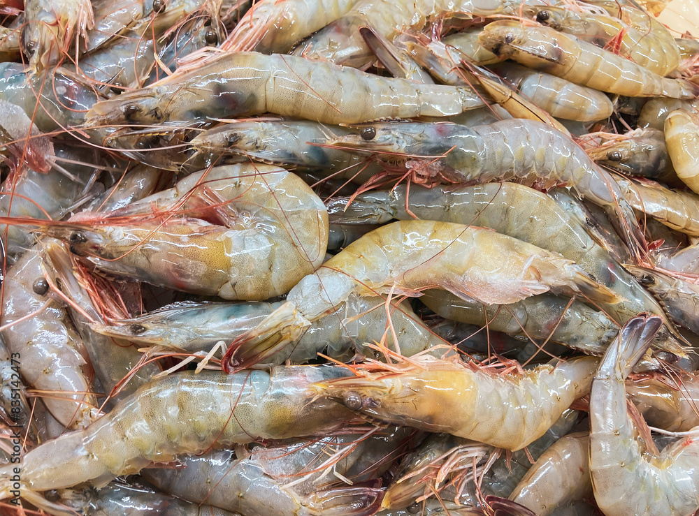 Raw Fresh Prawns Seafood on Ice Stand at Market. Close Up Raw Fresh Prawns Seafood on Ice Stand at Market. Close Up