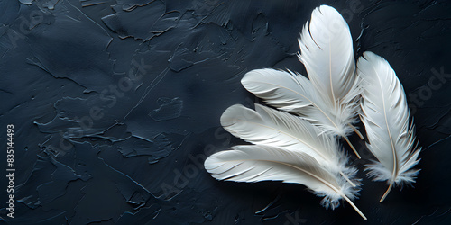 Wallpaper Mural Close-Up Macro Shot of Black Feather Texture Highlighting Subtle Patterns with Copy Space, Dynamic Feather Textures for Artistic Backgrounds
  Torontodigital.ca