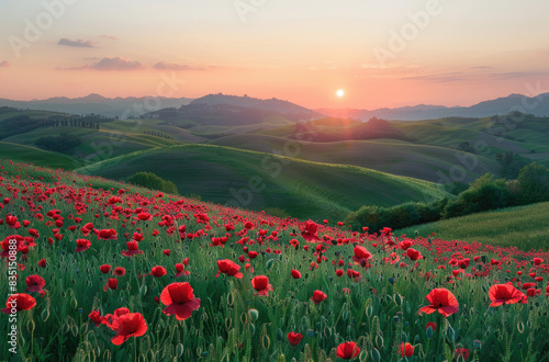 A picturesque sunrise over the vibrant red poppy fields  casting an enchanting glow on lush green hills and distant trees.