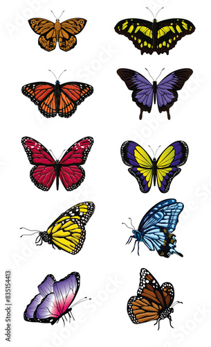 Butterfly Vector Collection 2019