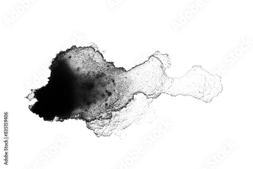black paint or ink stain spilled in the form of a spot or splash on a blank background