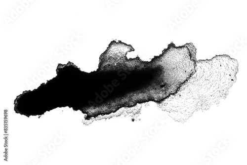 black paint or ink stain spilled in the form of a spot or splash on a blank background