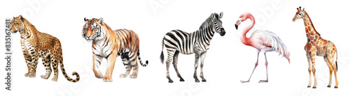 Watercolor set with leopard, tiger, flamingo, zebra and giraffe