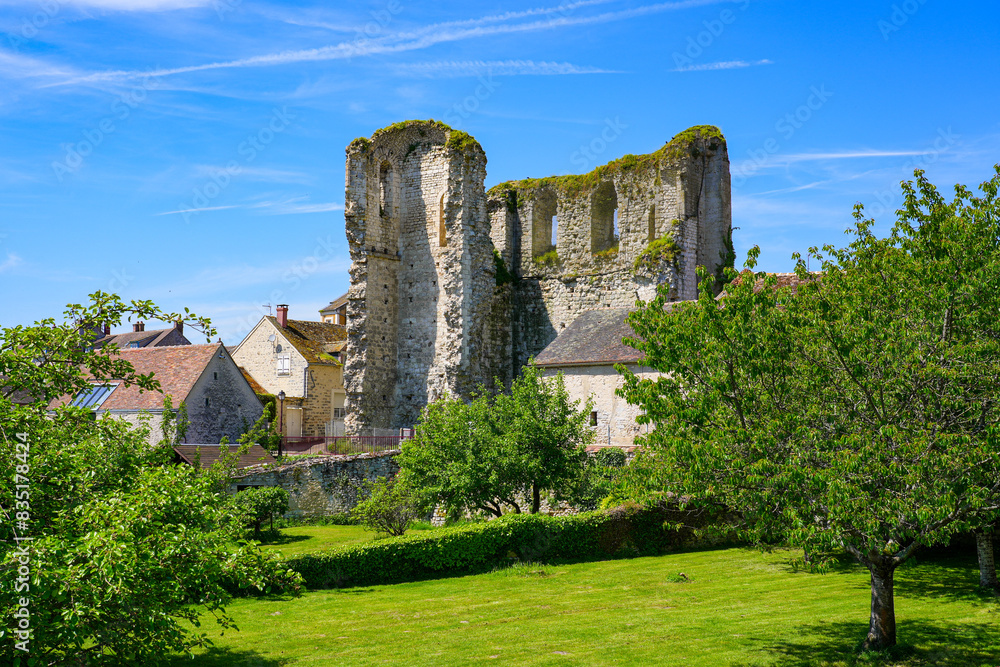 Ruins of the Tour de Ganne ( Ruins of the Tour de Ganne (